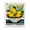 Stupell Industries Charming Bowl of Lemons Canvas Design by Lux + Me Designs